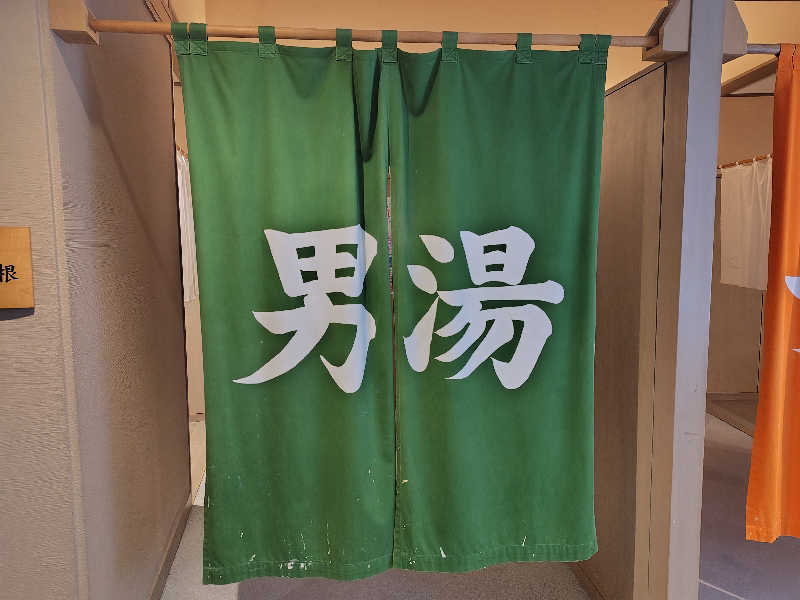 すぎすぎさんの湯～トピアかんなみのサ活写真