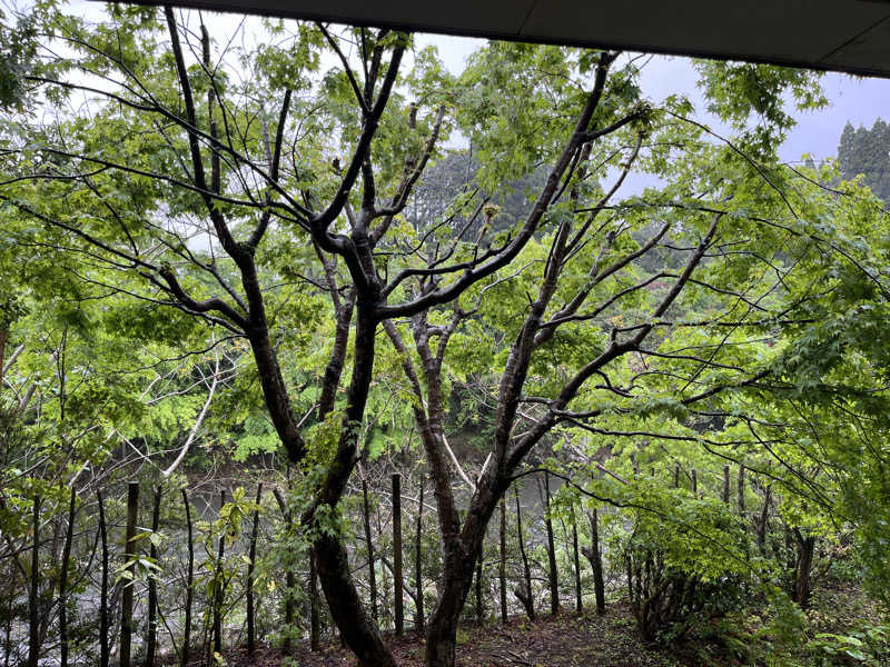 ダメな大人の休日さんのせせらぎの湯 花水木のサ活写真