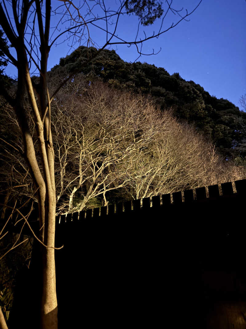 みさきちさんの御船山楽園ホテル  らかんの湯のサ活写真