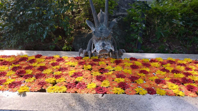 miteさんのよみうりランド眺望温泉 花景の湯のサ活写真