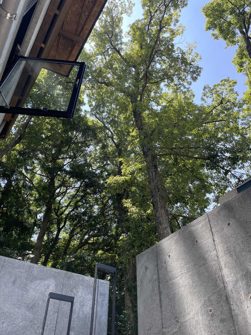 イゴさんの水の家のサ活写真