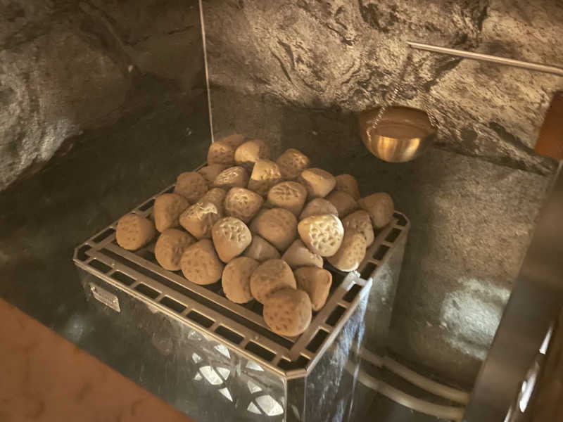 イゴさんのHOTEL & SAUNA FUJINOSのサ活写真