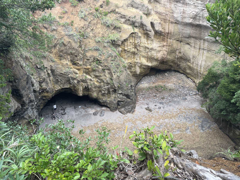 イゴさんのSauna HealingDragon ヒーリングドラゴンのサ活写真