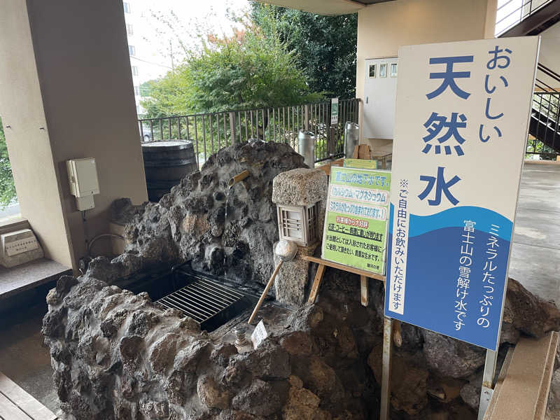 イゴさんの駿河の湯 坂口屋のサ活写真