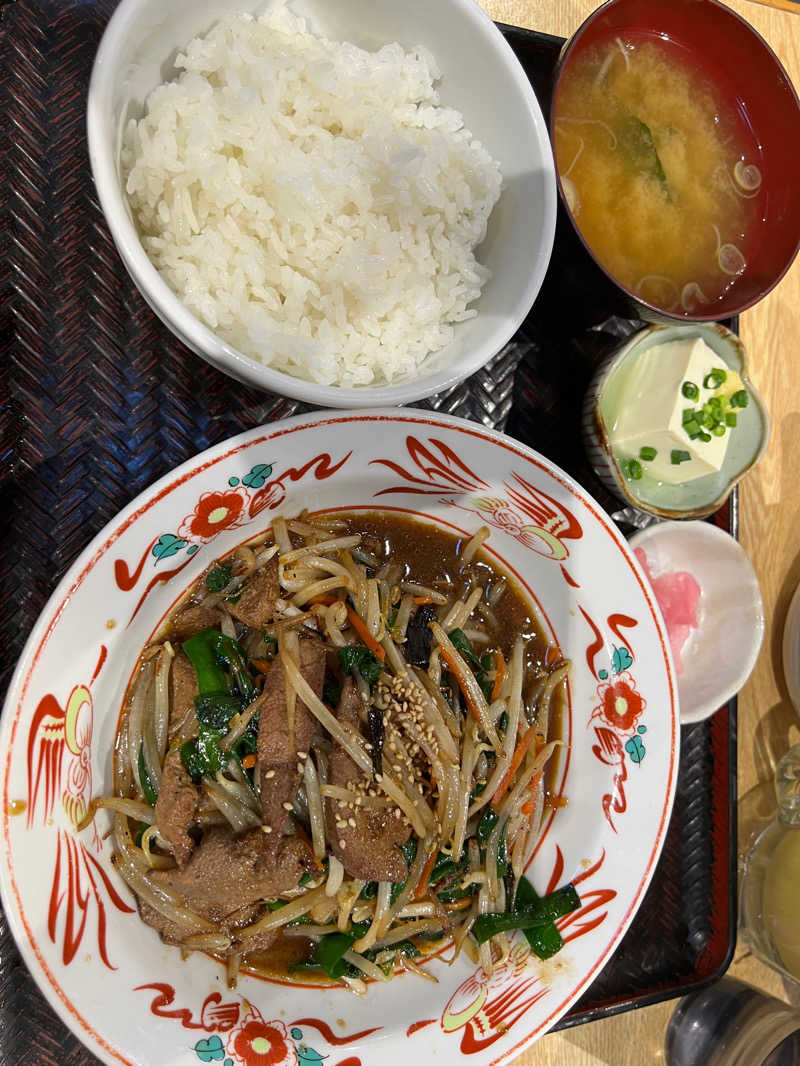 ひろさんのスーパー銭湯 佐野やすらぎの湯のサ活写真