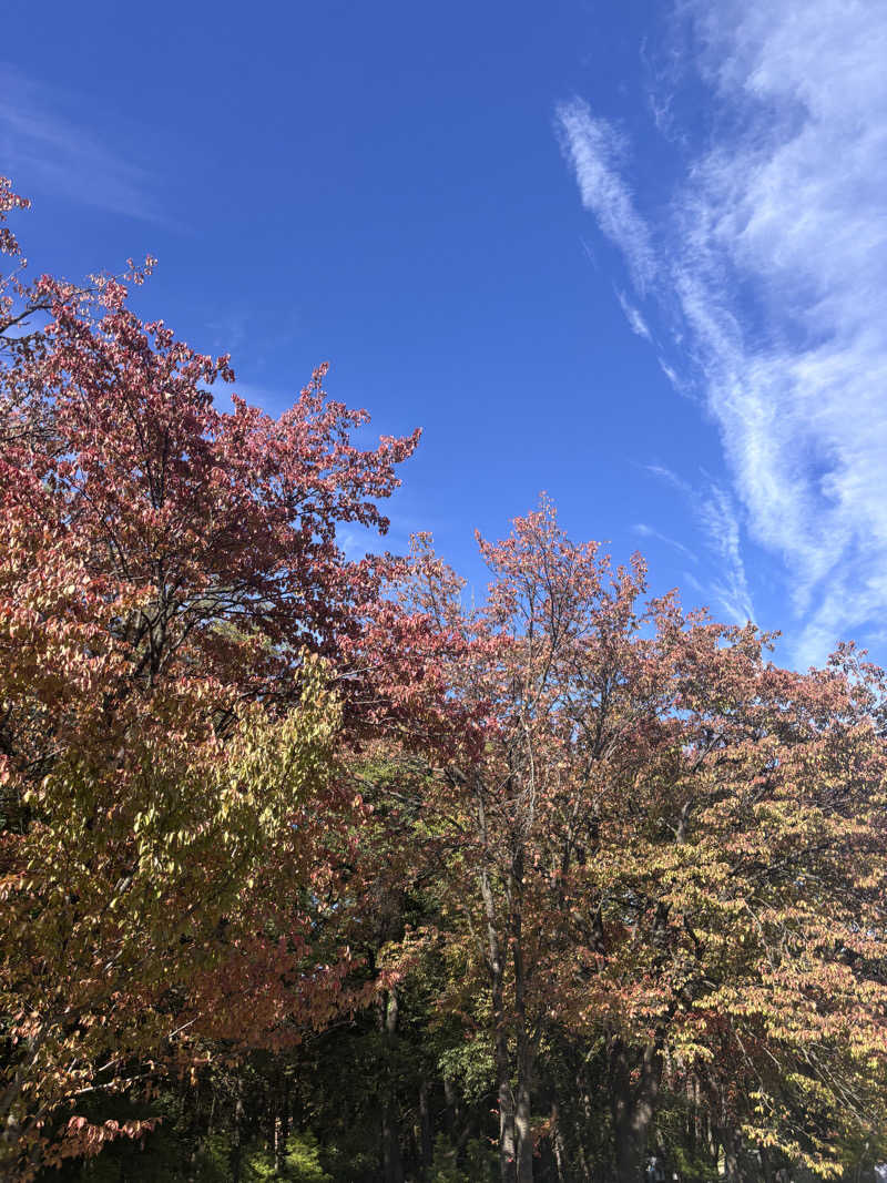 𝙆𝙐𝙍𝙐𝙈𝙄さんの林檎の湯屋 おぶ～のサ活写真