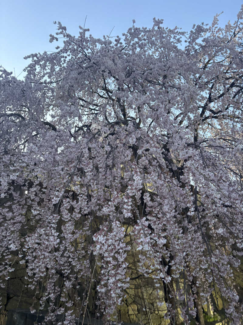 𝙆𝙐𝙍𝙐𝙈𝙄さんのUU ueda ユーユーウエダのサ活写真