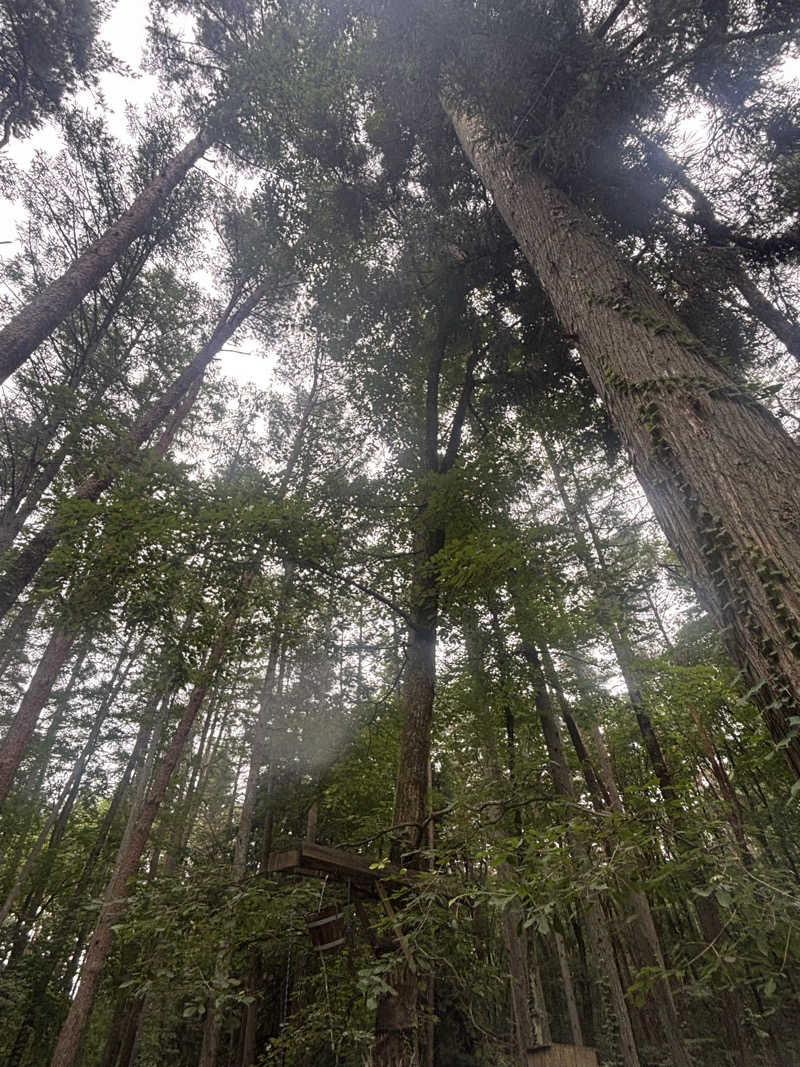 𝙆𝙐𝙍𝙐𝙈𝙄さんのFOLKWOOD SAUNAのサ活写真