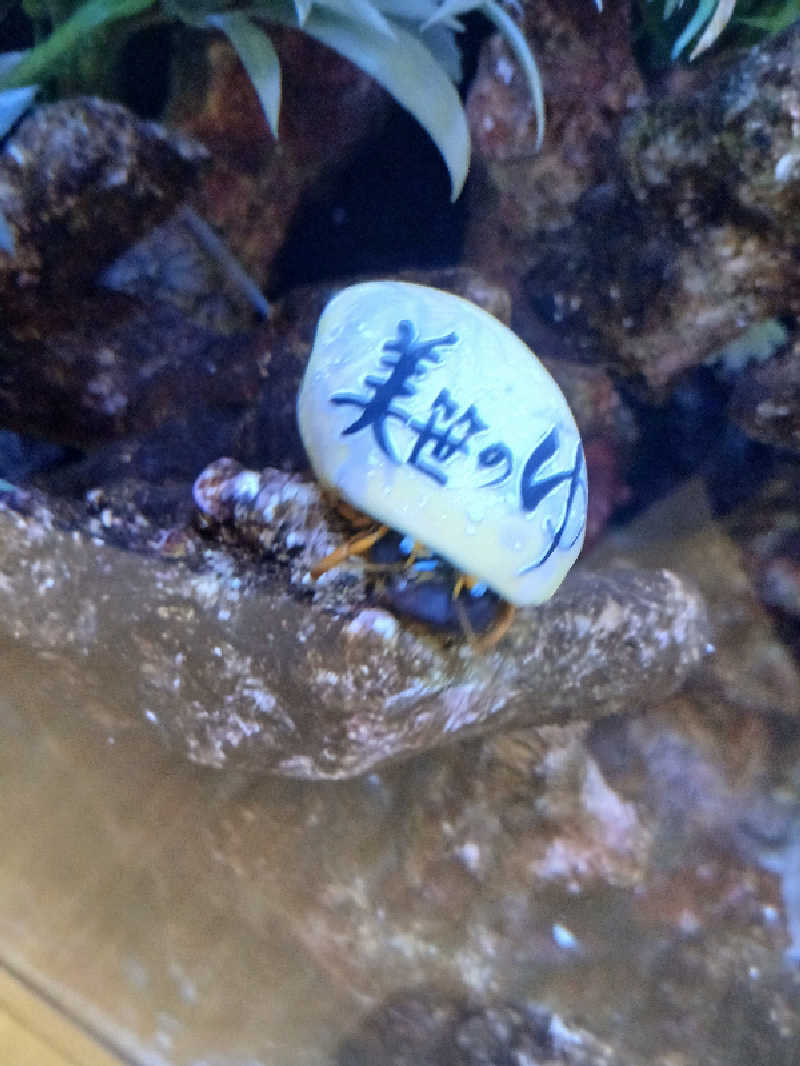 島ジローさんの積善温泉 美笹のゆのサ活写真