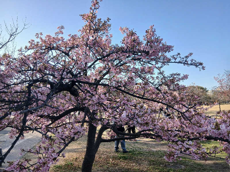 島ジローさんのフィットイージー 長居公園店のサ活写真