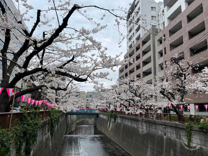 かいちゃんさんの文化浴泉のサ活写真