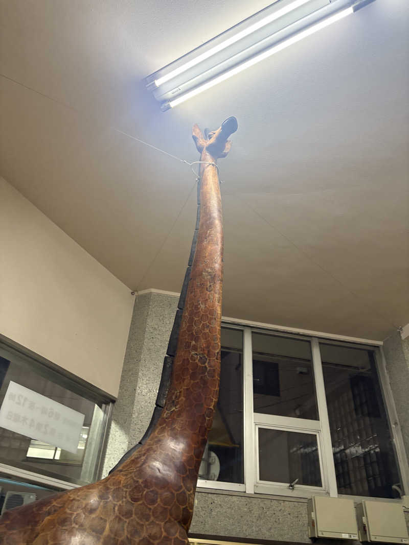 石崎えりかさんの新世界ラジウム温泉のサ活写真