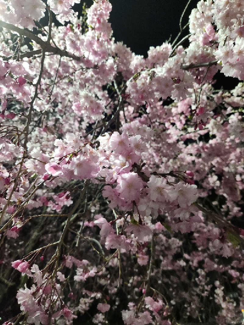 🔥侍🔥さんの花湯スパリゾートのサ活写真