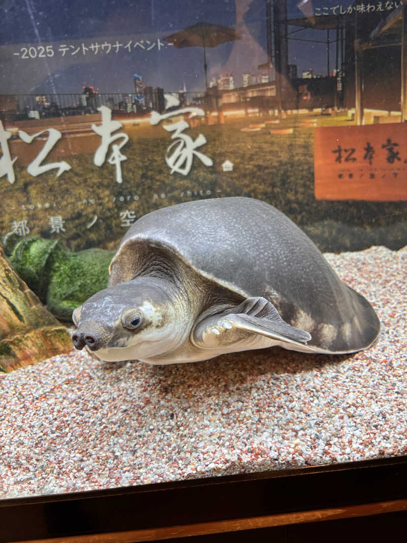 内山さんの松本湯のサ活写真