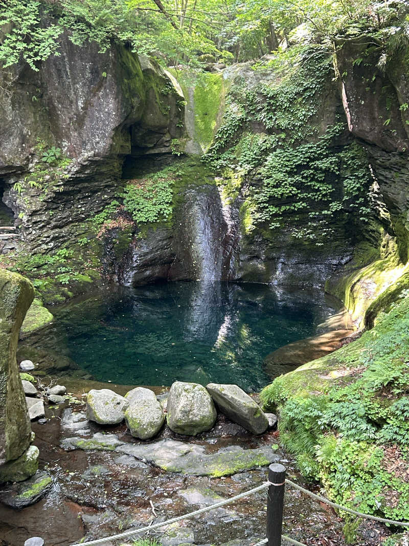 Yusukeさんのスーパー銭湯コール 宇都宮の湯のサ活写真