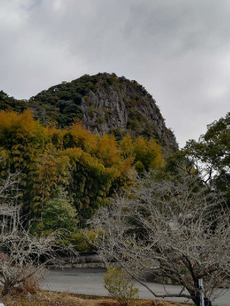 lord.sir.3さんの御船山楽園ホテル  らかんの湯のサ活写真