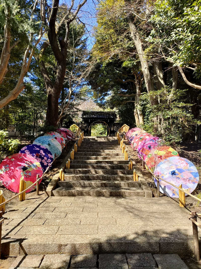 sanaunaさんのよみうりランド眺望温泉 花景の湯のサ活写真