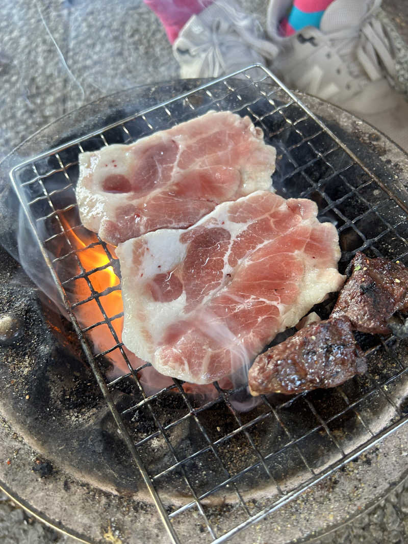 ゆうみさんさんの十勝ナウマン温泉ホテルアルコのサ活写真