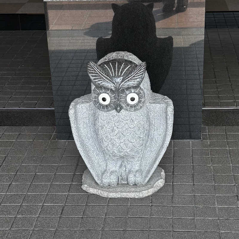 かのさんの健康ハウス木野温泉のサ活写真