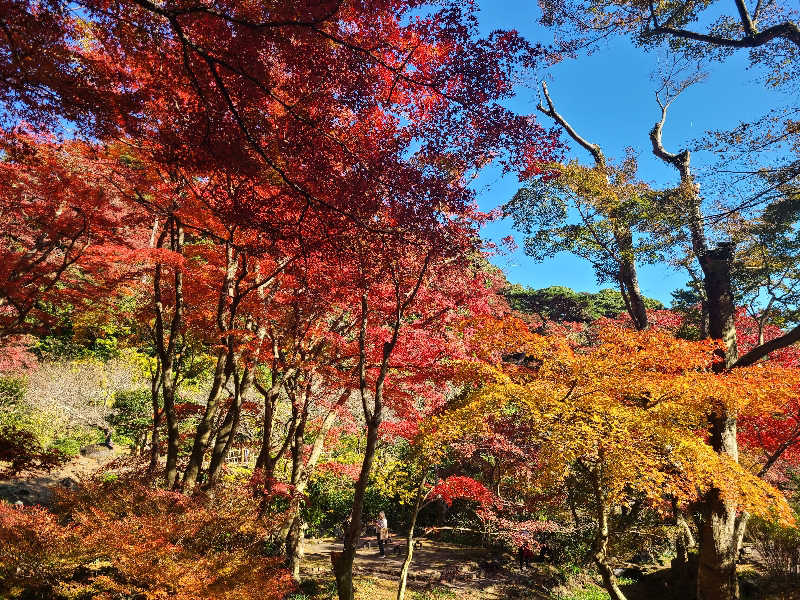 はっかっかさんのオーシャンスパ Fuuaのサ活写真