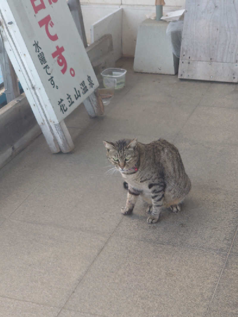 TORUさんのカルナパーク花立山温泉のサ活写真