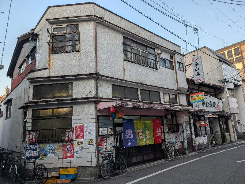 ドナウ川の漣さんの東山湯温泉のサ活写真