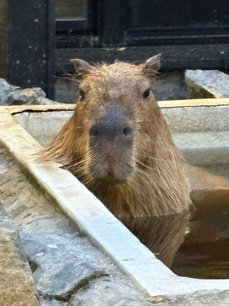 ちせさんの石狩天然温泉 番屋の湯のサ活写真