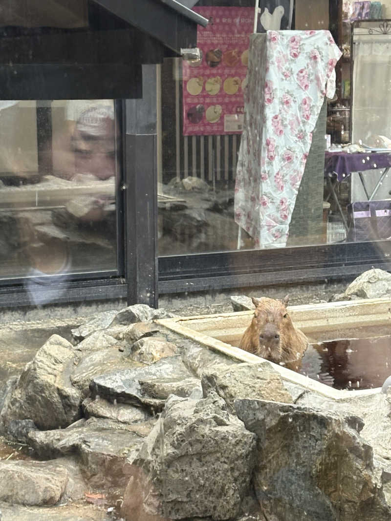 ちせさんの石狩天然温泉 番屋の湯のサ活写真