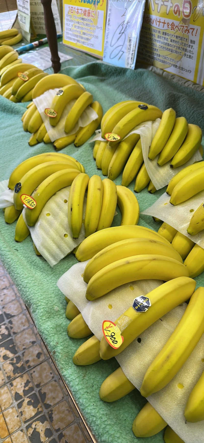 Nao383さんのSea Sauna Shack / シーサウナシャックのサ活写真