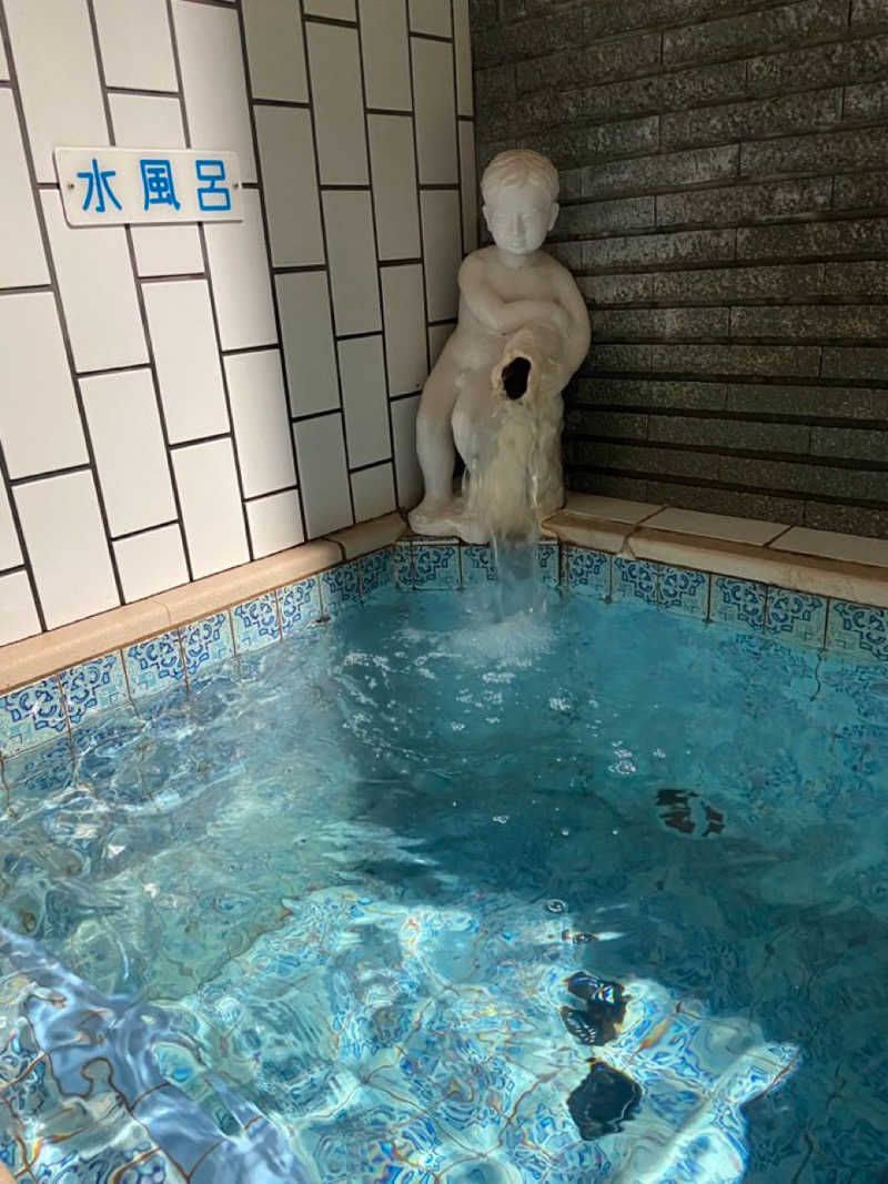 じゅんにょろさんの東温泉 (あずまおんせん)のサ活写真