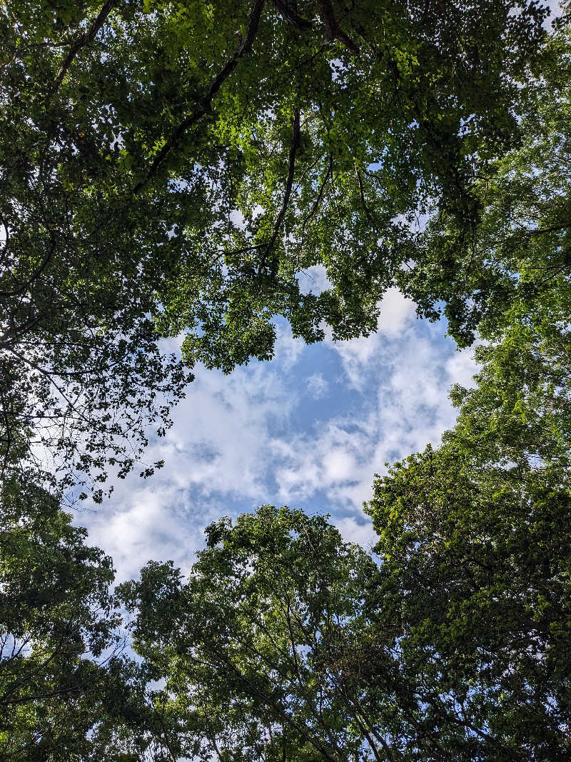8×3さんのSAUNA RESORT 天光の湯のサ活写真