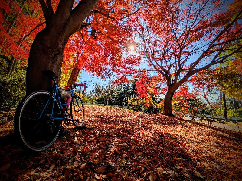 のだいさんのヨコヤマ・ユーランド鶴見のサ活写真