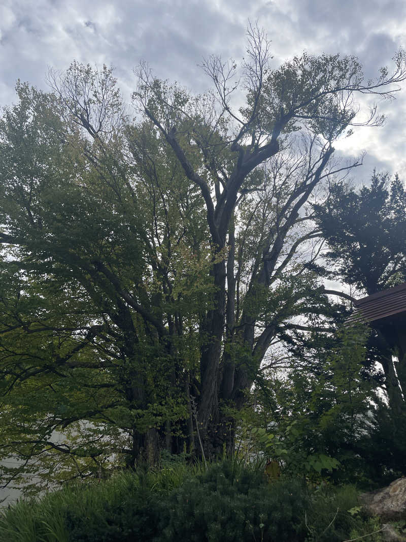 あきら〜さんの小金湯温泉 湯元 小金湯のサ活写真