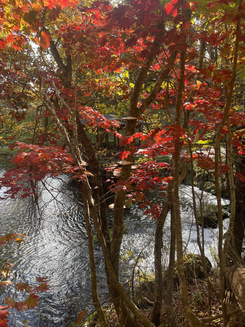 あきら〜さんの京極温泉 京極ふれあい交流センターのサ活写真
