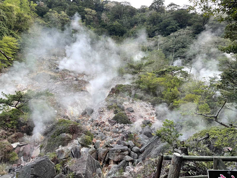 乱廻のSさんの白鳥温泉上湯のサ活写真