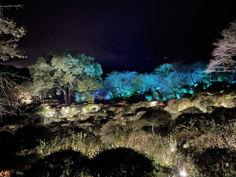 乱廻のSさんの御船山楽園ホテル  らかんの湯のサ活写真