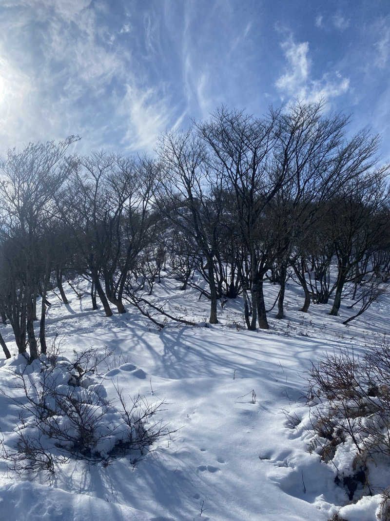 さく(整い中)さんのくつき温泉 てんくう (グリーンパーク想い出の森)のサ活写真