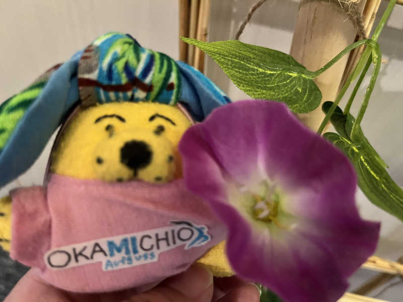 めんさんのスカイスパYOKOHAMAのサ活写真