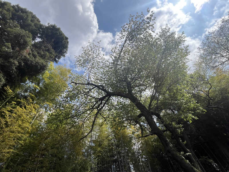 めんさんの八街ヴィラのサ活写真