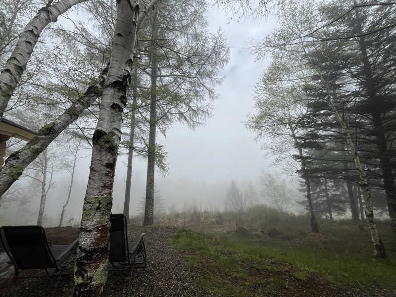 めんさんのSAUNA TEN            "Birch and cloud forest"のサ活写真