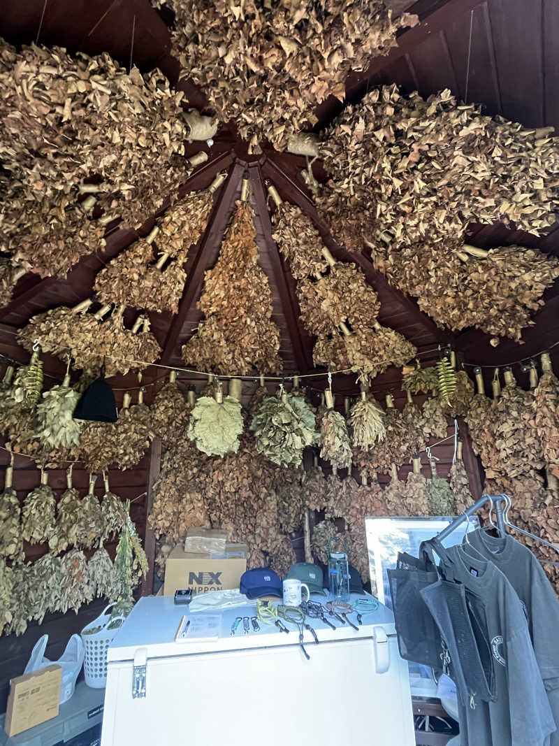 めんさんのSAUNA TEN            "Birch and cloud forest"のサ活写真