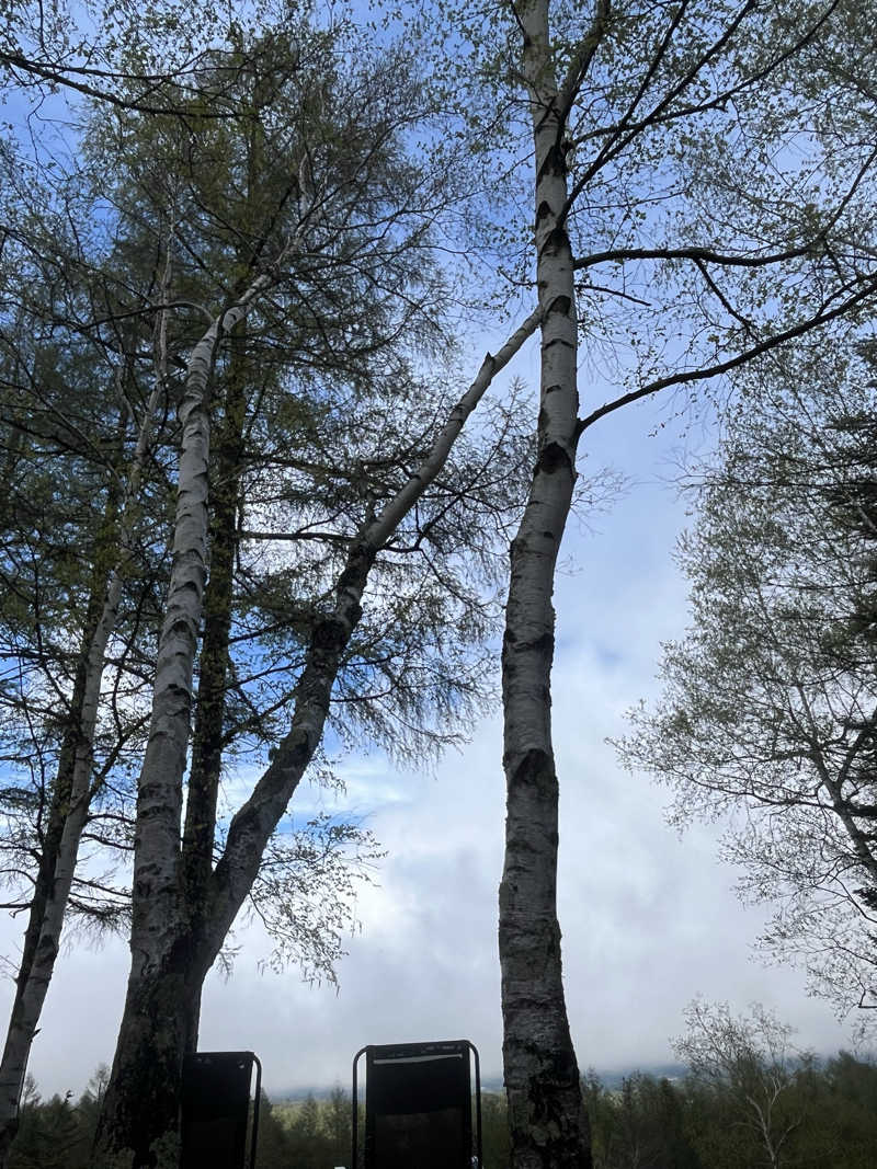 めんさんのSAUNA TEN            "Birch and cloud forest"のサ活写真