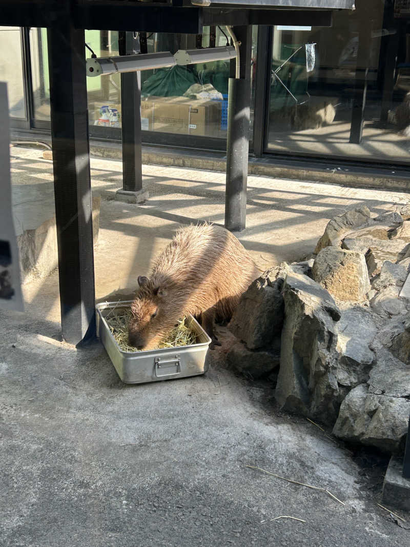 ピザ屋の彼女さんの石狩天然温泉 番屋の湯のサ活写真