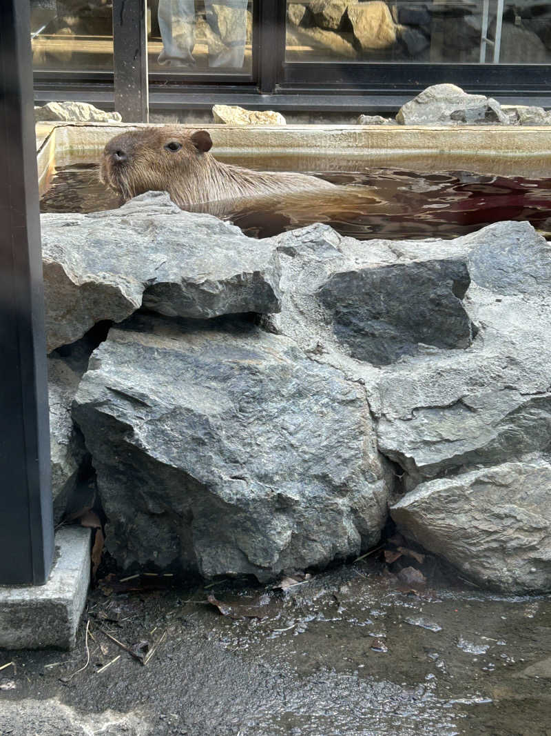 ピザ屋の彼女さんの石狩天然温泉 番屋の湯のサ活写真