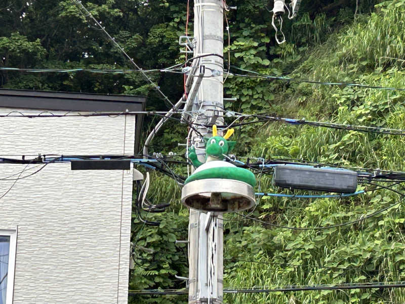 ピザ屋の彼女さんのかもえない竜神温泉のサ活写真