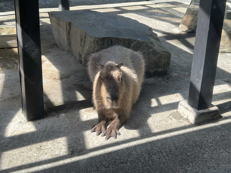 ピザ屋の彼女さんの石狩天然温泉 番屋の湯のサ活写真