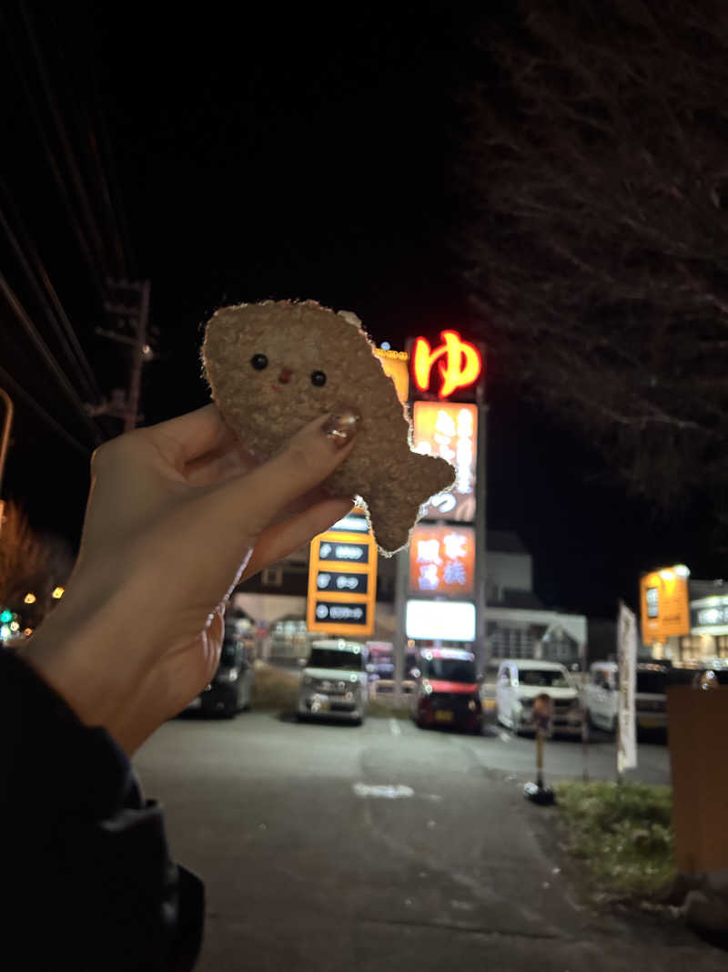 ピザ屋の彼女さんの森林公園温泉 きよらのサ活写真