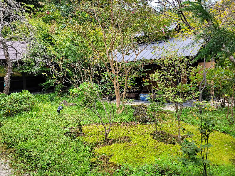 Masanariさんの箱根湯寮のサ活写真