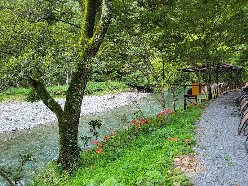 Masanariさんのサウナ天竜のサ活写真