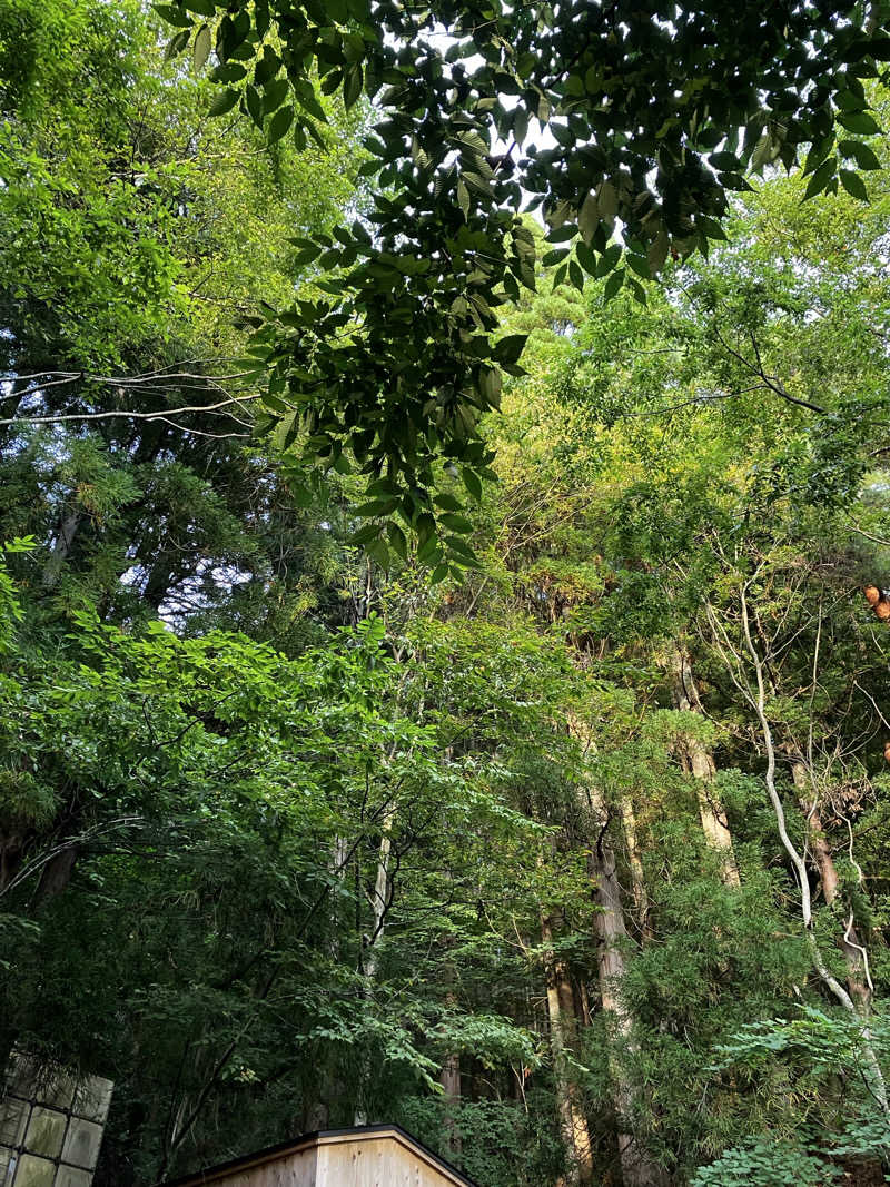 ほね夫🎧🧜‍♀️👑さんのThe TOJIBA 松川館のサ活写真